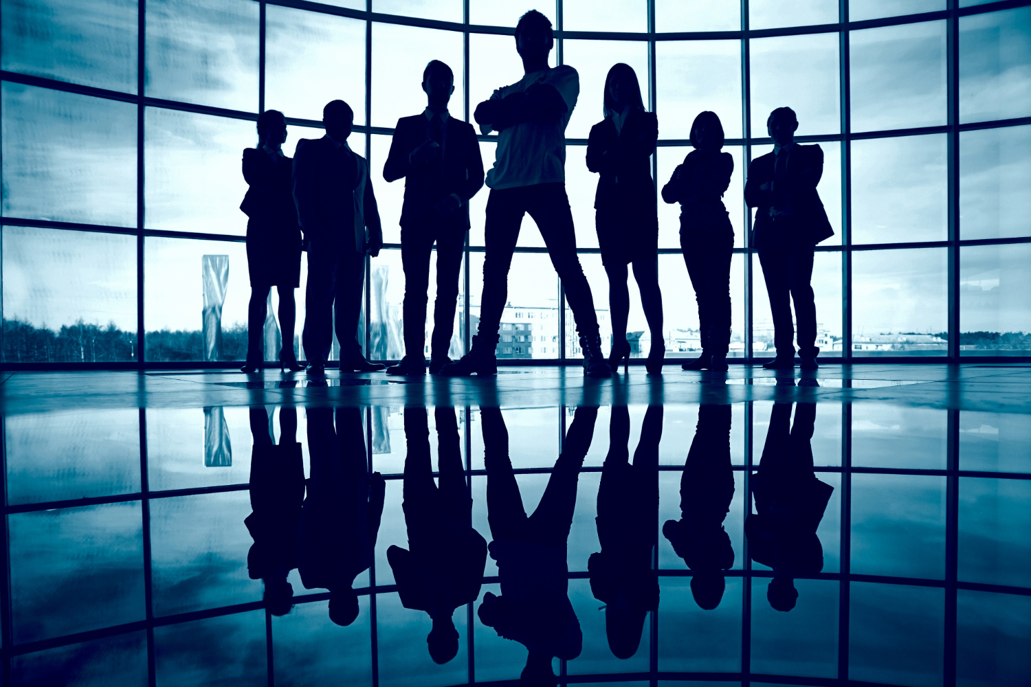 Management & Assistance